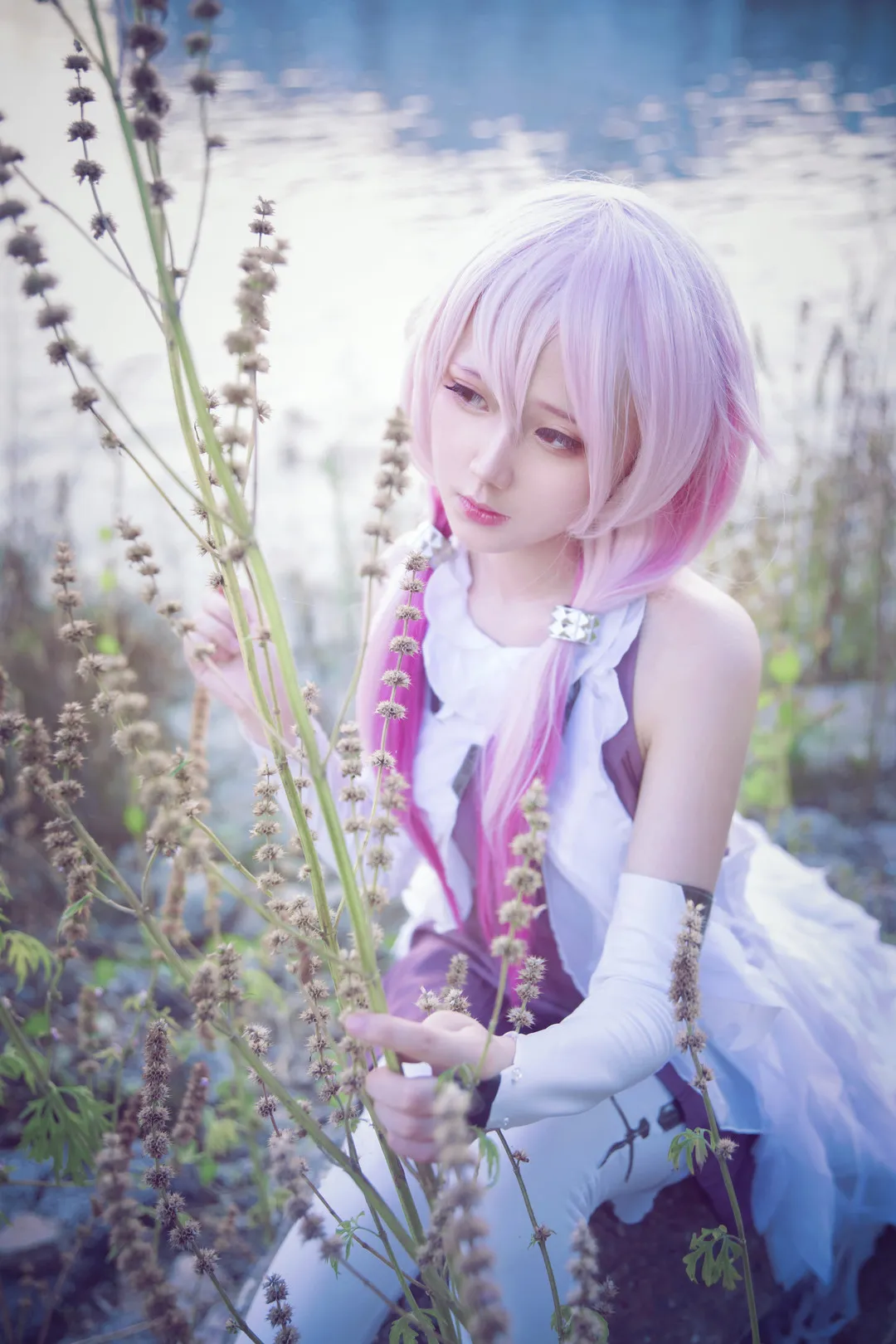 弦音sic海外Coser名称识别与作品整理 弦音sic公开Cosplay造型照片,浅色假发、白色服装与户外植物背景