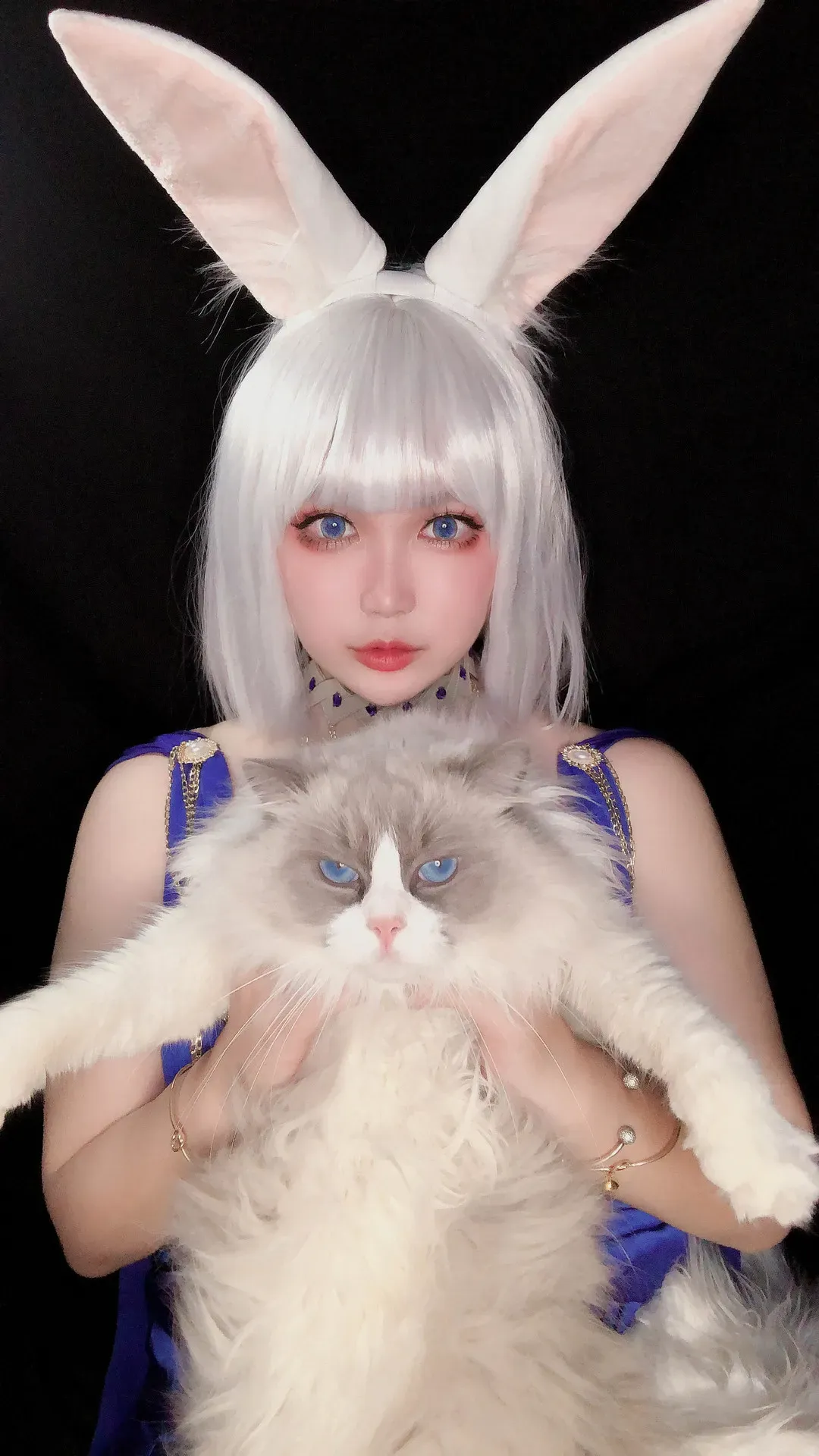 椒妮佐仁海外Coser 椒妮佐仁角色造型图片,展示发型细节与服装搭配
